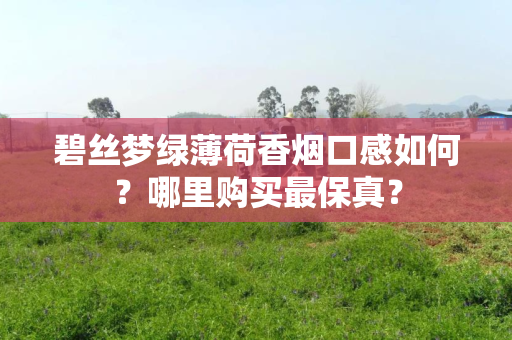 碧丝梦绿薄荷香烟口感如何？哪里购买最保真？